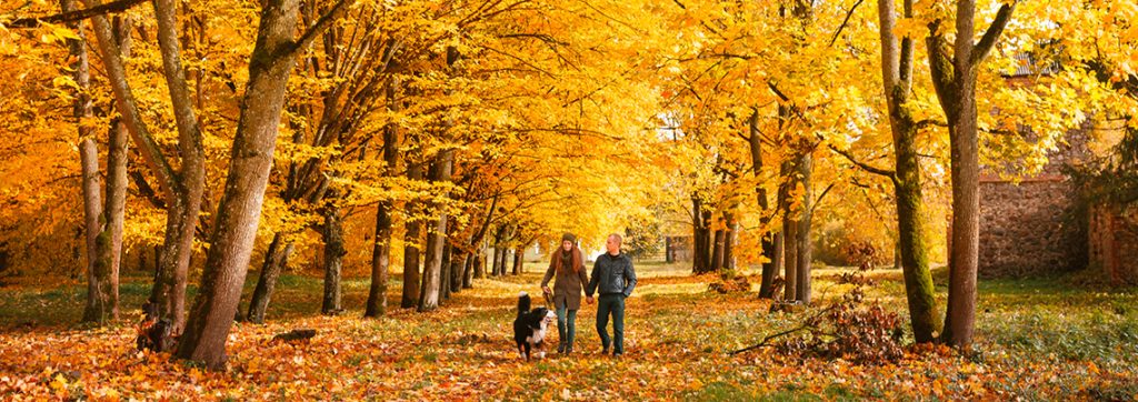 Autumn 2026